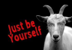 goat-1148038_1280